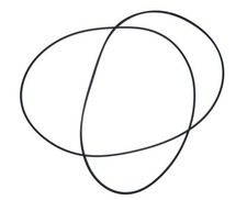 Cinghia trasmissione