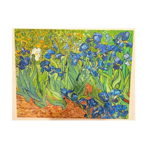 Van gogh iris fiori - gogh, dipinto