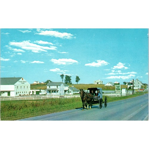 Amish buggy near intercourse - near,