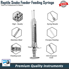 Mangiatoia serpente rettile