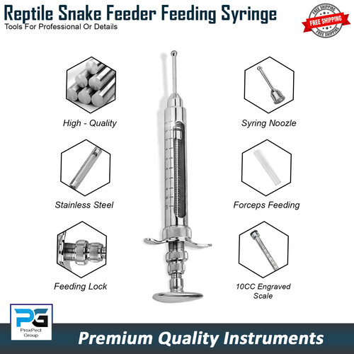 Mangiatoia serpente rettile