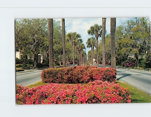 Cartolina victory drive - cartolina,