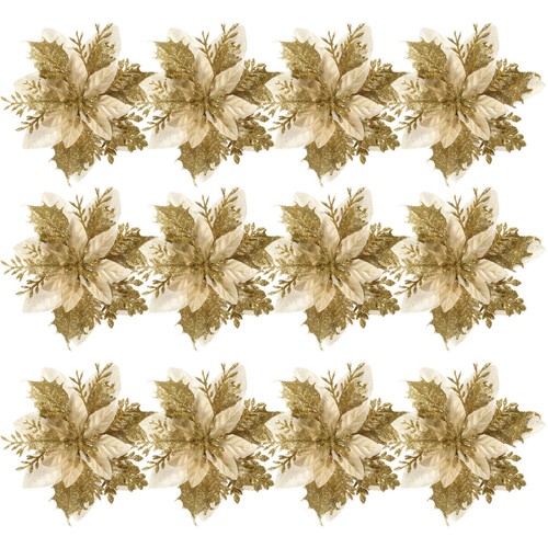 Fiori stella natale - stella, di