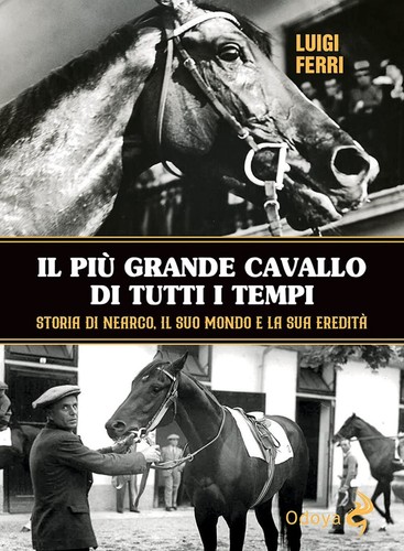 Più grande cavallo di - più,