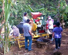 GUATEMALTECA CHICCHI DI CAFFÈ