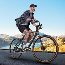 Bicicletta elettrica 29 pollici 36V 10AH trekking eBike 250W EMountainbike 25km/h E Bike