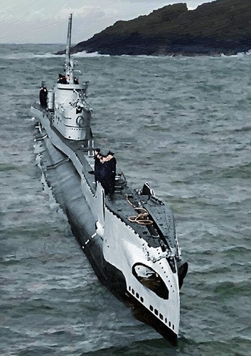 Hms taurus edizione - hms,