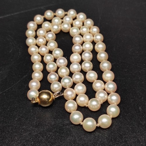 Collana perle coltivate con - coltivate,