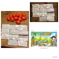 Sorpresine chupa chups jungle land lotto