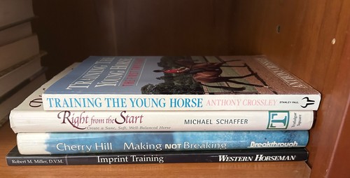 Horses training the young - the,