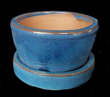 Bonsai - Ciotola per Bonsai