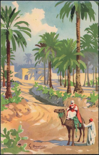Cartolina oasi tripoli - cartolina,