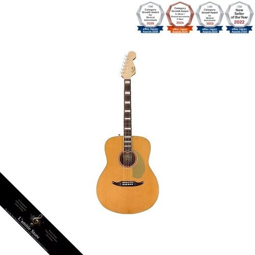 Chitarra acustica elettrica - chitarra, acustica-elettrica