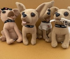 Taco Bell Talking Chihuahua