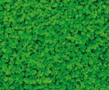 Semi per Prato Trifoglio nanissimo Repens Gr.500