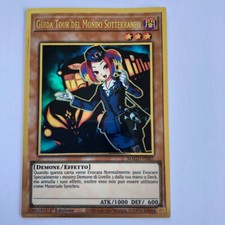 Guida tour del mondo