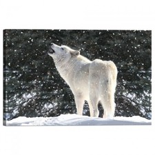 Quadro Stampa su Tela con