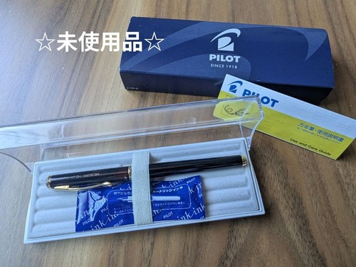 Penna stilografica pilot - stilografica,