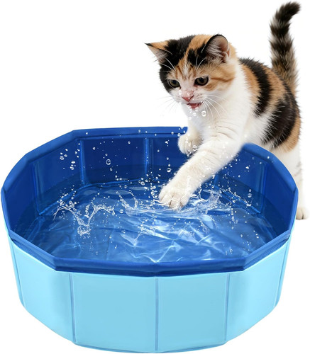 Piscina gatti piccolo 10 - gatti, 30×10