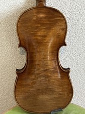 n.1042 Bellissimo violino