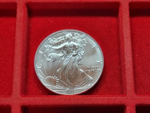 2013 american silver eagle - 2013,