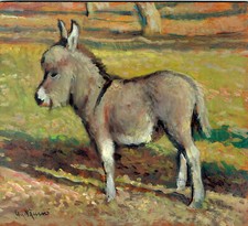 Asinello Nano Asino Dipinto