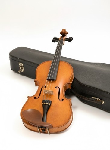 Antico violino bohuslav - violino, mistr
