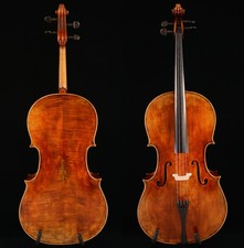 Violoncello Livello Pro 4/4
