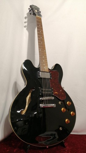 Epiphone dot chitarra - eb,