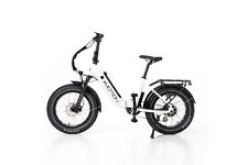 Bici 20 FAT pieghevole FLEX