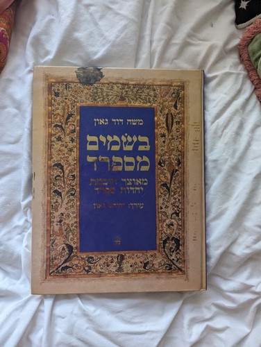 Hebrew book spies - hebrew,