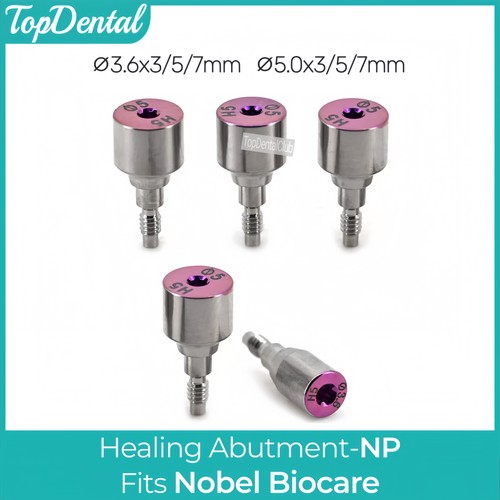 Tappo curativo dentale - , np