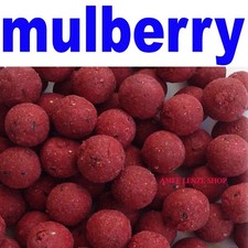 Boilies carpfishing pastura - boilies,