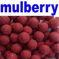 boilies carpfishing pastura pesca carp fishing aromi boilie boiles mulberry 