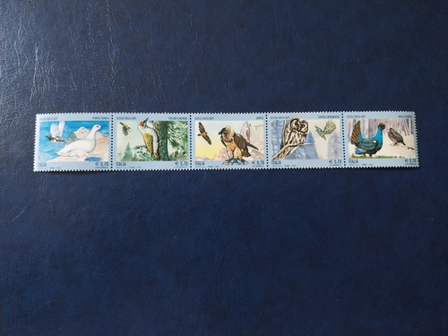 Italia 2013 uccelli delle alpi - delle,