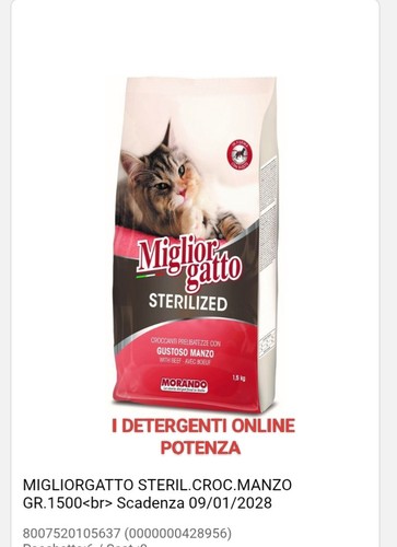 Morando miglior gatto 5 - morando,