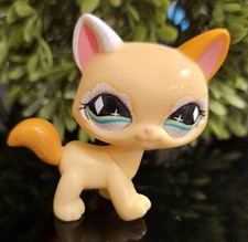 ✨️Littlest Pet Shop LPS