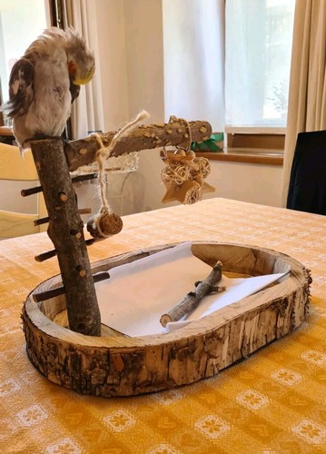 Trespolo pappagalli legno - trespolo,