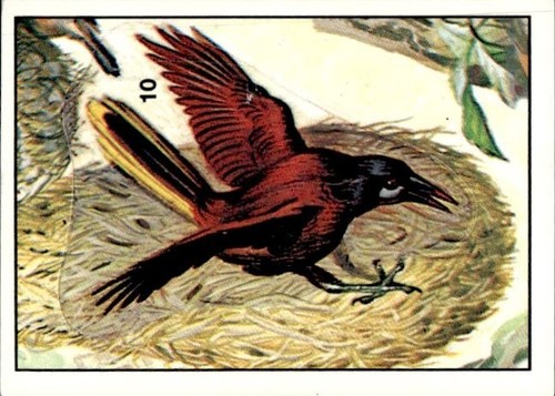 Figurina uccelli panini - figurina, ed.panini