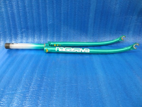 Forcella anteriore nagasawa - forcella,