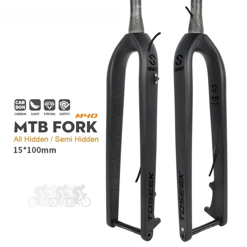 Forcella carbon boost asse - boost,