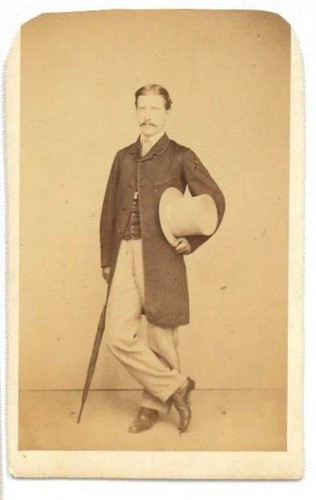 L17 cdv albumin - l17-cdv, de