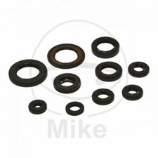 KIT GUARNIZIONI PARAOLI MOTORE