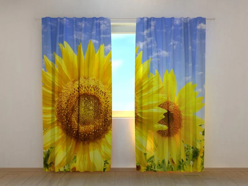 Tende fiori del sole - fiori,
