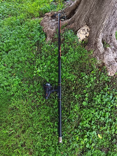 Canna pesca sarfix - canna, 5