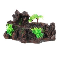 Ciotola Per L'acqua Delle