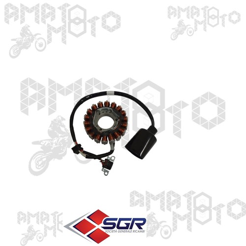 Statore magnete volano sgr - magnete,