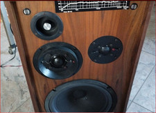 Coppia di casse RCF BR 40 in buone condizioni