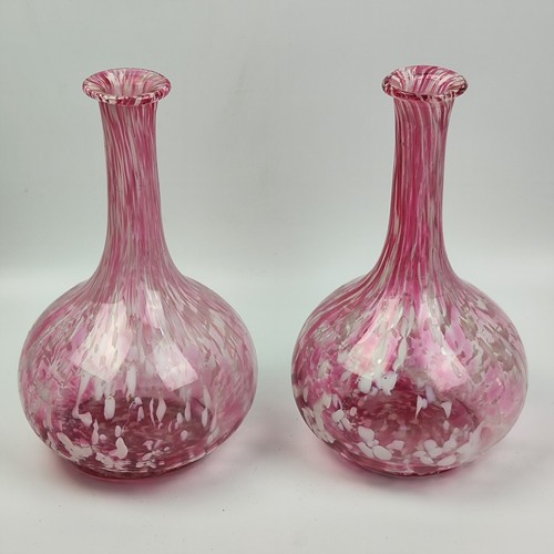 Bottiglie vaso coppia - bottiglie,