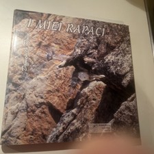 I MIEI RAPACI di Domenico Ruiu